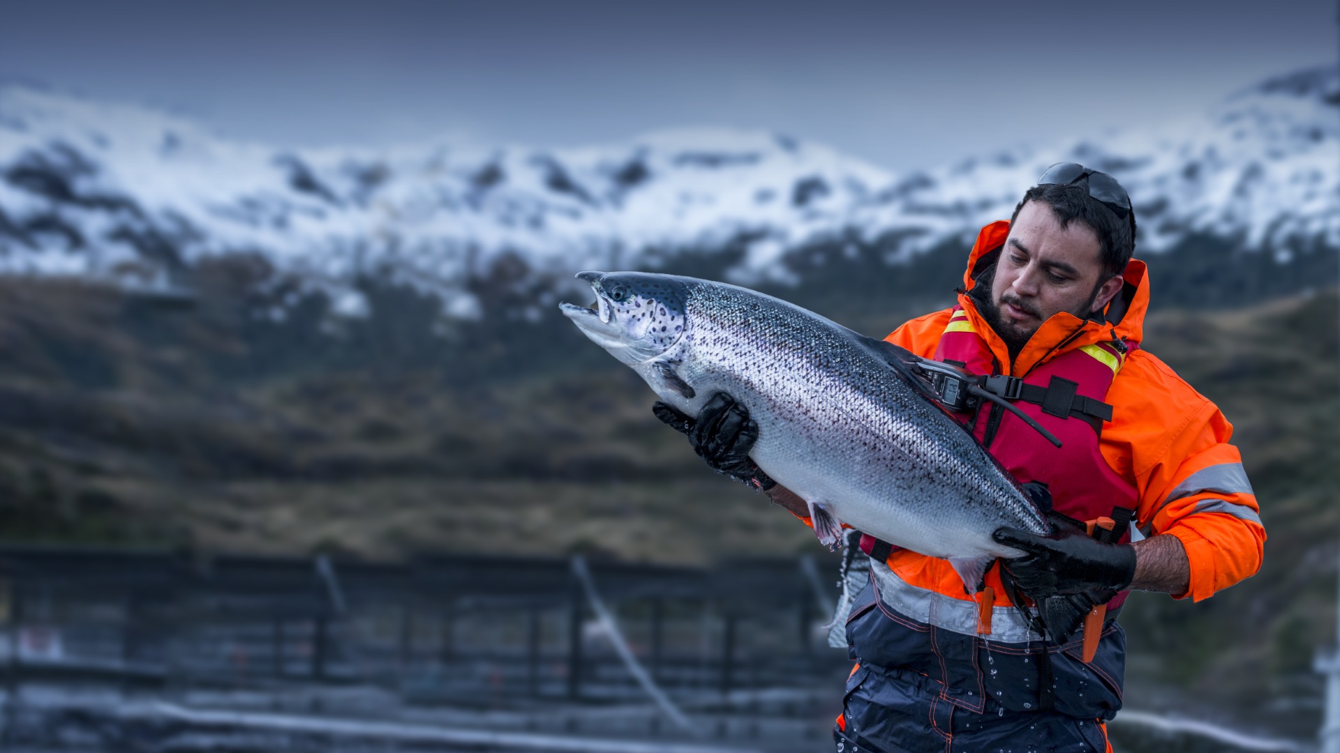 全球資源?中國消費