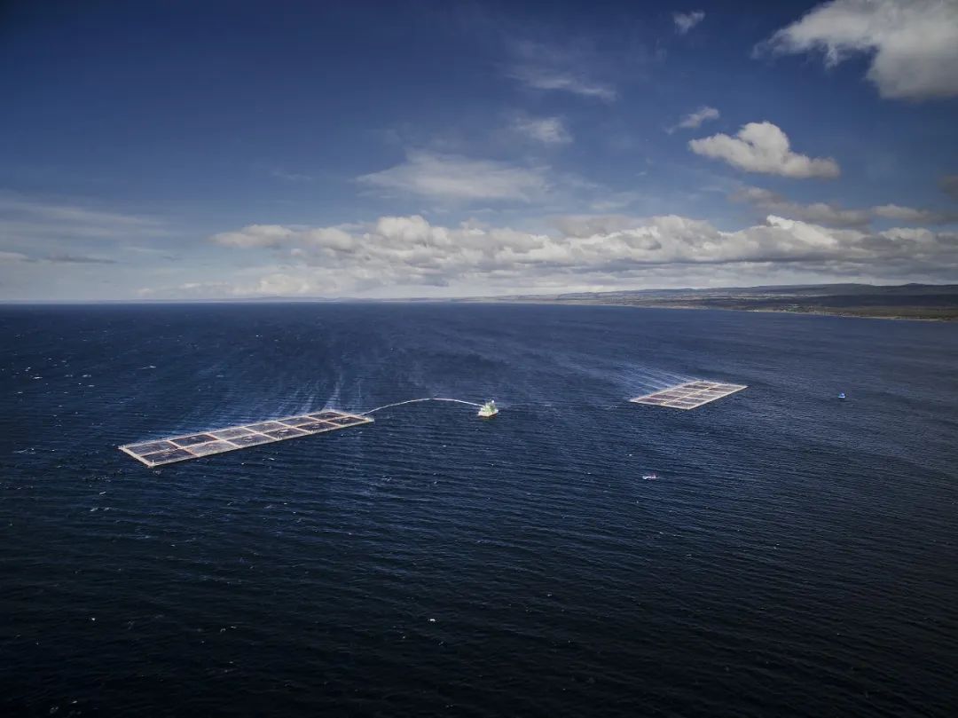 萬萬沒想到，FCR是養魚的關鍵？